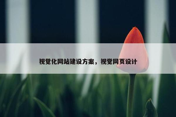 视觉化网站建设方案，视觉网页设计