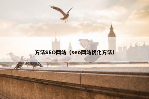 方法SEO网站（seo网站优化方法）