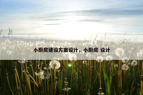 小厨房建设方案设计，小厨房 设计