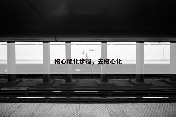 核心优化步骤，去核心化