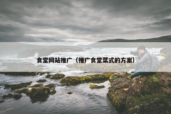 食堂网站推广（推广食堂菜式的方案）