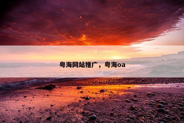 粤海网站推广，粤海oa