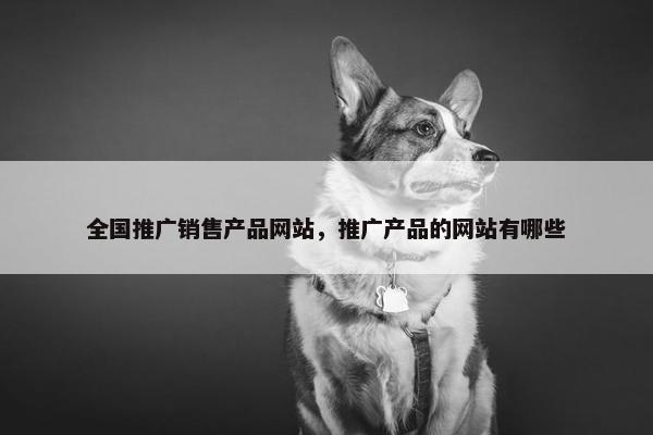 全国推广销售产品网站，推广产品的网站有哪些