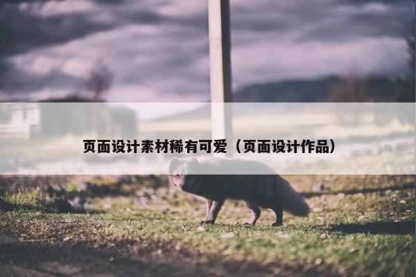 页面设计素材稀有可爱（页面设计作品）