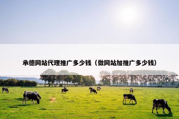 承德网站代理推广多少钱（做网站加推广多少钱）