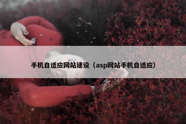 手机自适应网站建设（asp网站手机自适应）