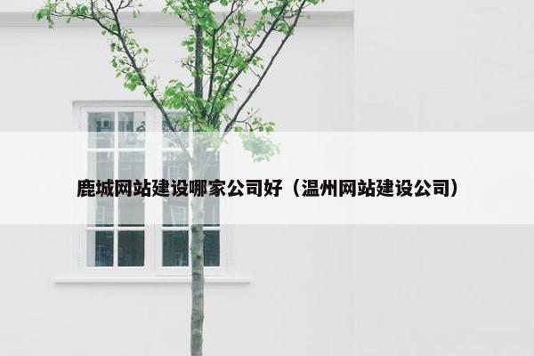 鹿城网站建设哪家公司好（温州网站建设公司）