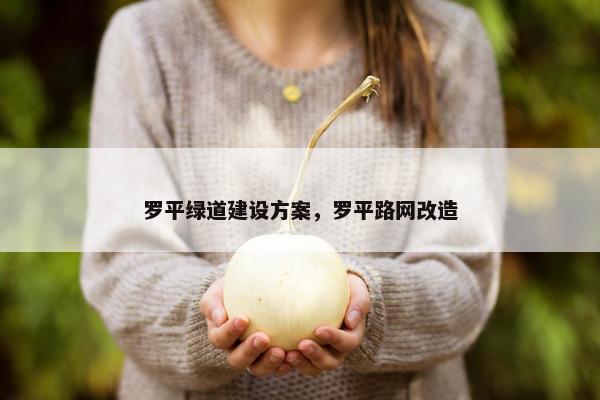罗平绿道建设方案，罗平路网改造