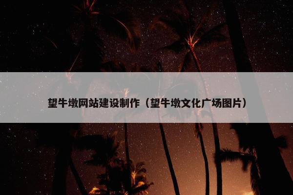 望牛墩网站建设制作（望牛墩文化广场图片）
