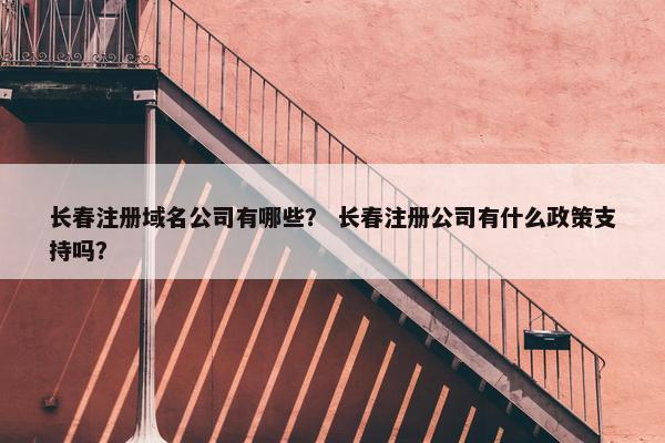 长春注册域名公司有哪些？ 长春注册公司有什么政策支持吗？