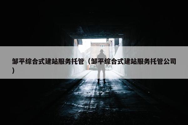 邹平综合式建站服务托管（邹平综合式建站服务托管公司）