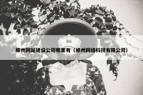 郴州网站建设公司哪里有（郴州网络科技有限公司）