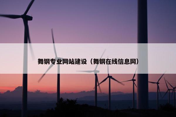 舞钢专业网站建设（舞钢在线信息网）