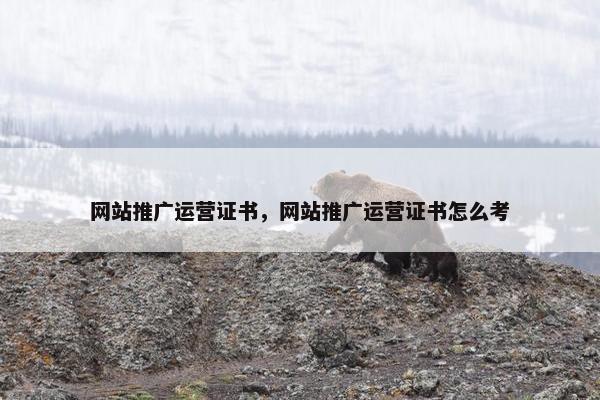 网站推广运营证书，网站推广运营证书怎么考