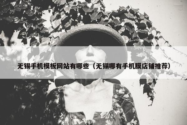 无锡手机模板网站有哪些（无锡哪有手机膜店铺推荐）