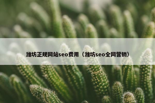 潍坊正规网站seo费用（潍坊seo全网营销）