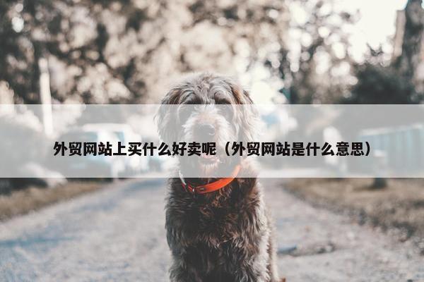 外贸网站上买什么好卖呢（外贸网站是什么意思）