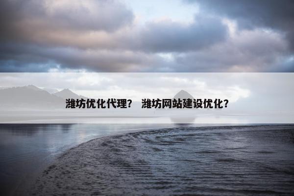 潍坊优化代理？ 潍坊网站建设优化？