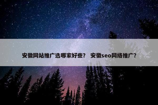 安徽网站推广选哪家好些？ 安徽seo网络推广？