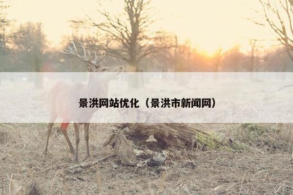 景洪网站优化（景洪市新闻网）