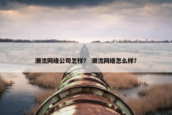 潮流网络公司怎样？ 潮流网络怎么样？