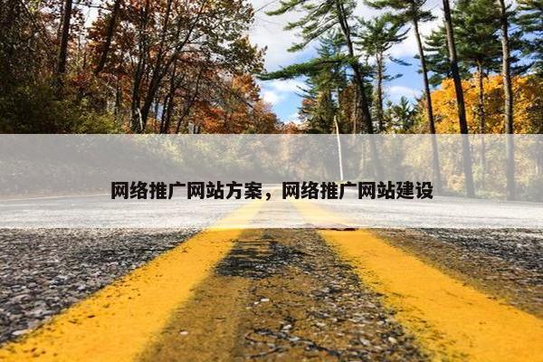 网络推广网站方案，网络推广网站建设