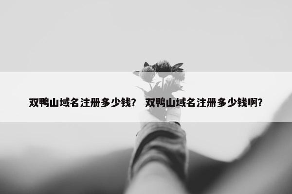 双鸭山域名注册多少钱？ 双鸭山域名注册多少钱啊？