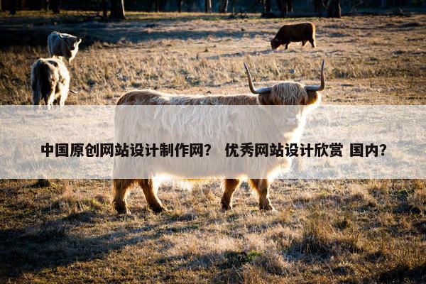 中国原创网站设计制作网？ 优秀网站设计欣赏 国内？