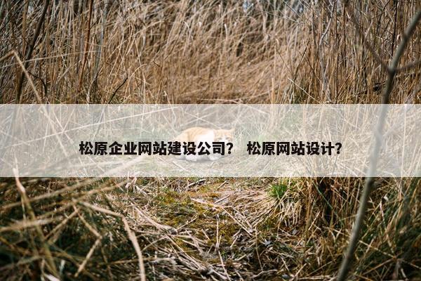松原企业网站建设公司？ 松原网站设计？