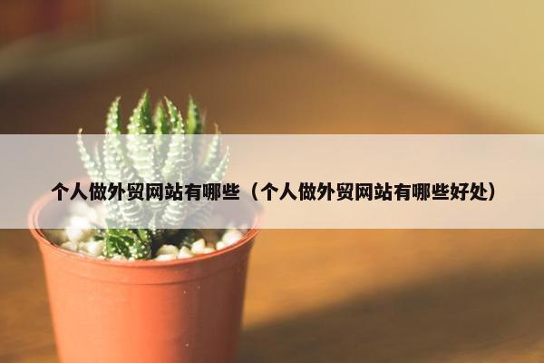 个人做外贸网站有哪些（个人做外贸网站有哪些好处）