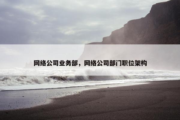 网络公司业务部，网络公司部门职位架构