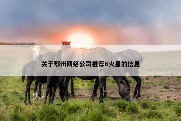 关于鄂州网络公司推荐6火星的信息
