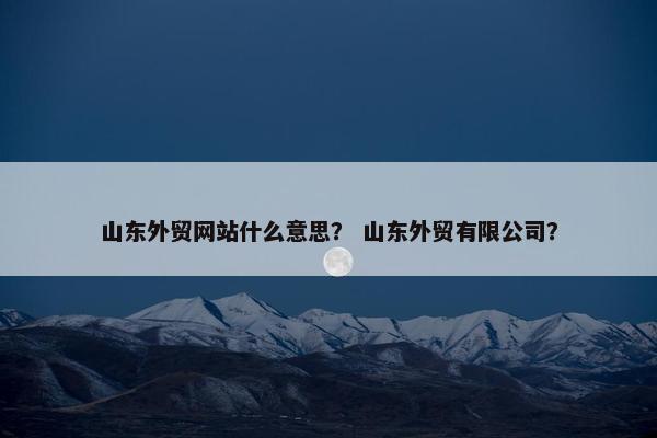 山东外贸网站什么意思？ 山东外贸有限公司？