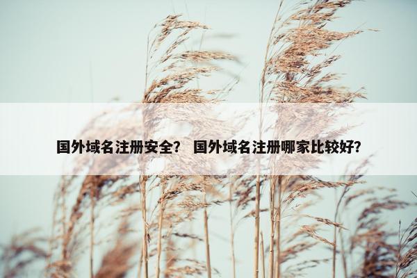 国外域名注册安全？ 国外域名注册哪家比较好？