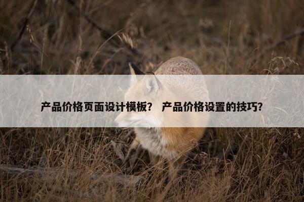 产品价格页面设计模板？ 产品价格设置的技巧？