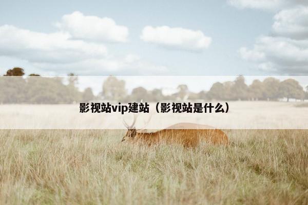 影视站vip建站（影视站是什么）
