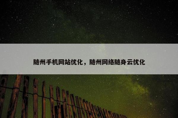 随州手机网站优化，随州网络随身云优化