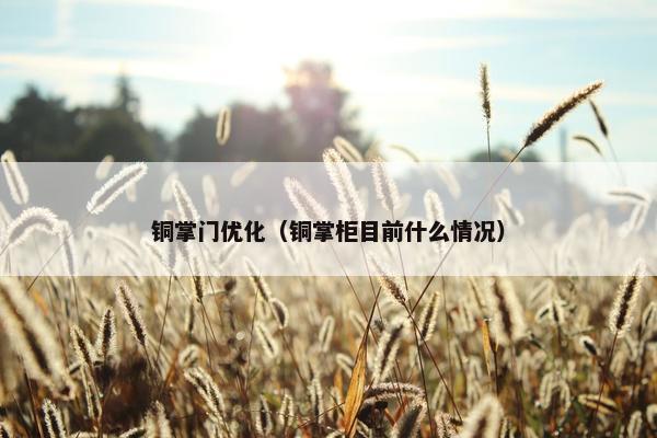 铜掌门优化（铜掌柜目前什么情况）