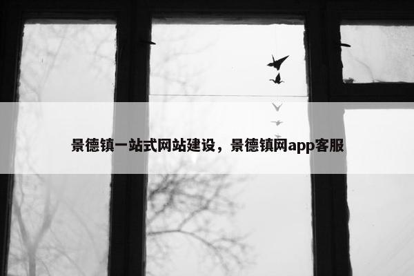 景德镇一站式网站建设，景德镇网app客服
