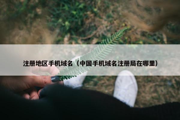 注册地区手机域名（中国手机域名注册局在哪里）