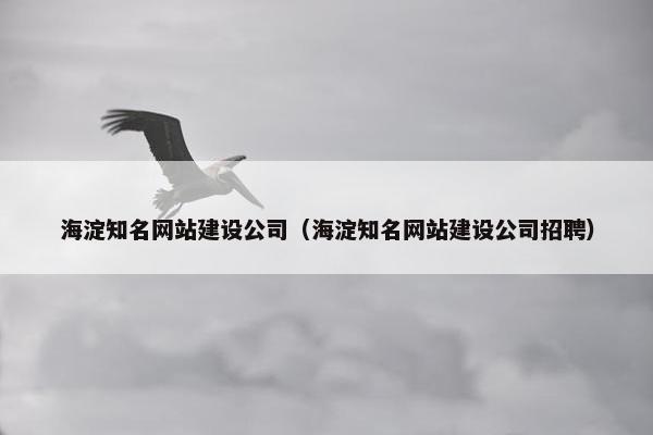 海淀知名网站建设公司（海淀知名网站建设公司招聘）