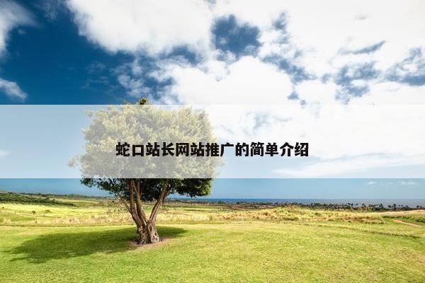 蛇口站长网站推广的简单介绍