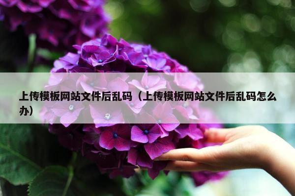 上传模板网站文件后乱码（上传模板网站文件后乱码怎么办）
