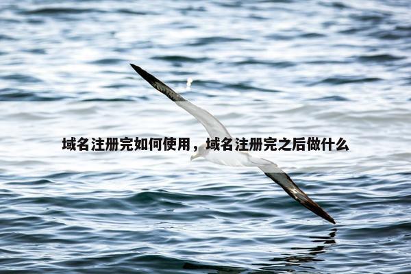 域名注册完如何使用，域名注册完之后做什么