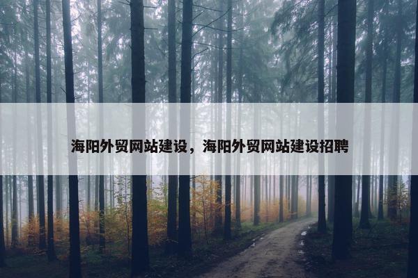 海阳外贸网站建设，海阳外贸网站建设招聘