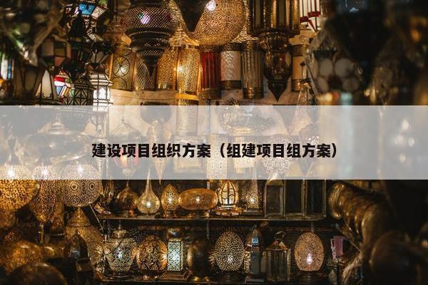 建设项目组织方案（组建项目组方案）