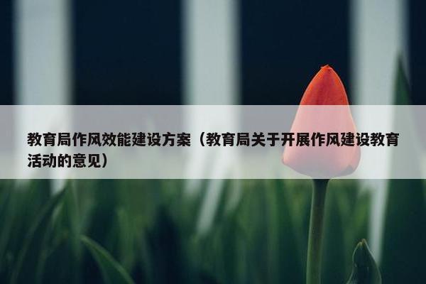 教育局作风效能建设方案（教育局关于开展作风建设教育活动的意见）