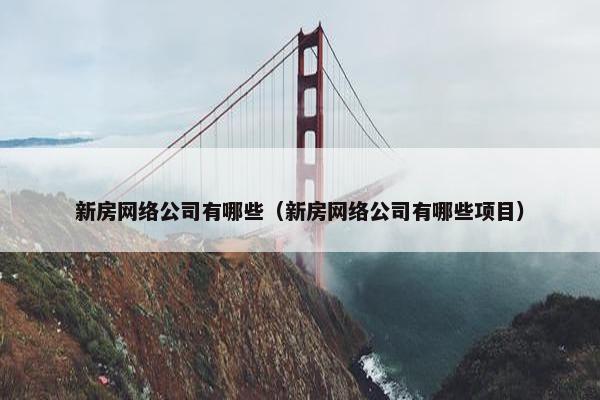新房网络公司有哪些（新房网络公司有哪些项目）
