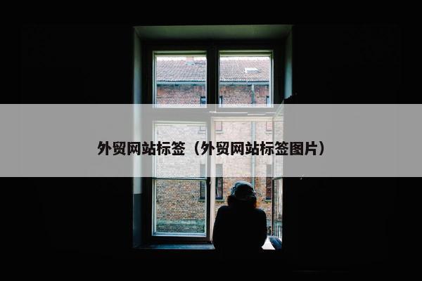 外贸网站标签（外贸网站标签图片）