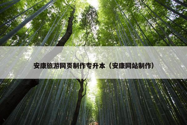 安康旅游网页制作专升本（安康网站制作）